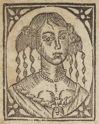 33803-20.jpg