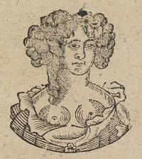 33812-20.jpg