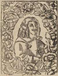 33835-10.jpg