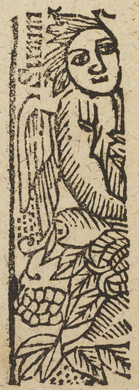 33851-30.jpg