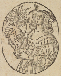 33861-20.jpg