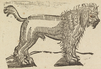 33895-20.jpg