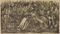 33897-10.jpg