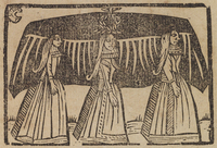 33913-10.jpg
