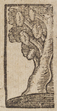 33918-10.jpg