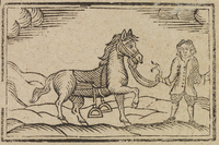 33924-20.jpg