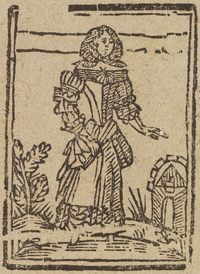 33935-20.jpg