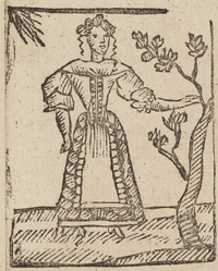 33941-10.jpg