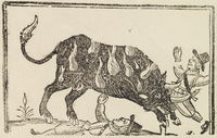 33954-10.jpg