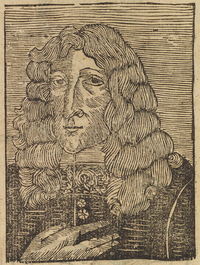 33988-20.jpg