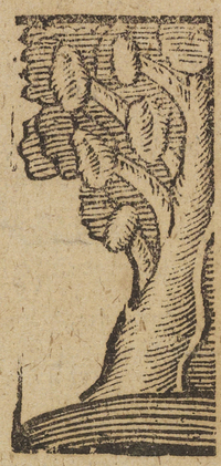 33991-10.jpg