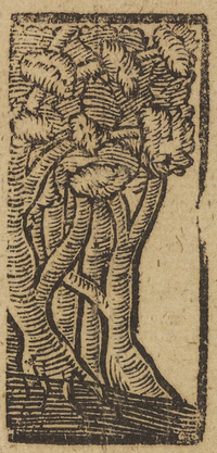 33991-40.jpg