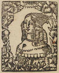 33996-20.jpg