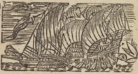 34029-20.jpg