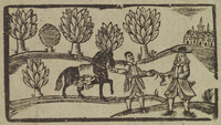 34116-10.jpg