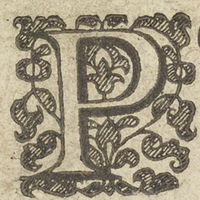 34117-20.jpg