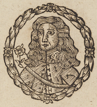 34127-10.jpg
