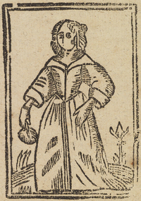 34131-20.jpg