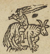 34137-20.jpg