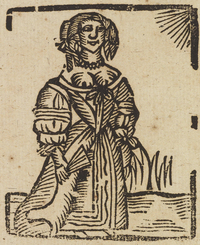 34144-20.jpg