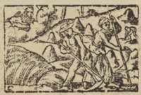 34356-40.jpg