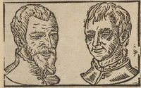 34359-50.jpg