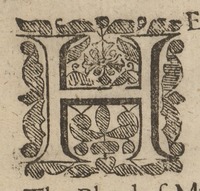 34433-20.jpg
