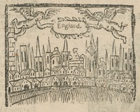 34461-20.jpg