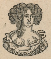 34470-30.jpg