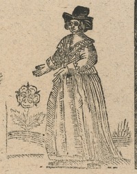 34489-20.jpg