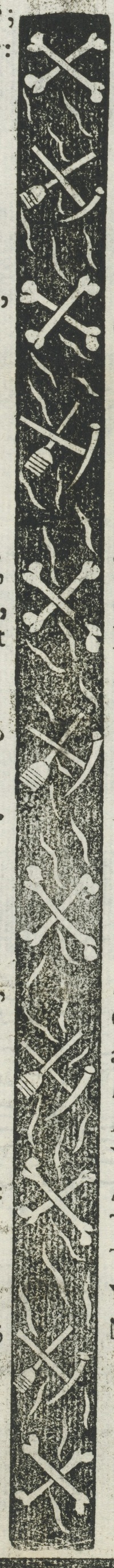 34509-20.jpg