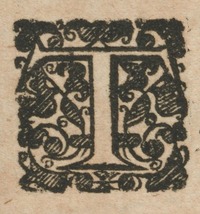 34615-10.jpg