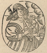 34647-10.jpg