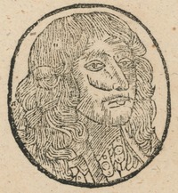 34656-10.jpg