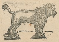 34671-20.jpg