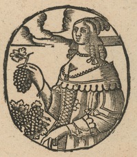 34679-20.jpg