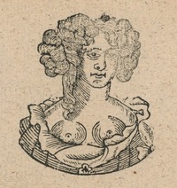 34716-20.jpg