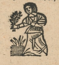 34718-20.jpg