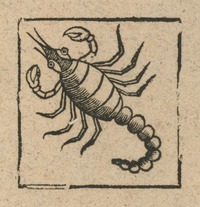 34750-20.jpg