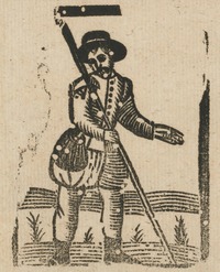 34782-10.jpg