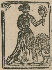 34886-10.jpg