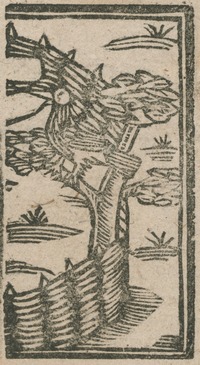 34887-40.jpg