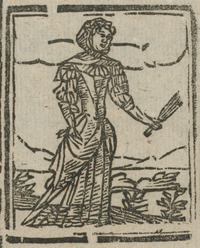 34933-20.jpg