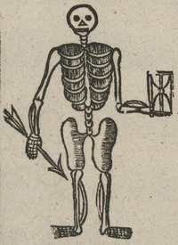 34944-20.jpg