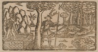 34948-10.jpg