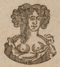 34948-20.jpg