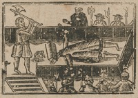 34989-20.jpg