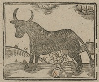 34992-10.jpg