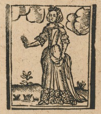35123-20.jpg