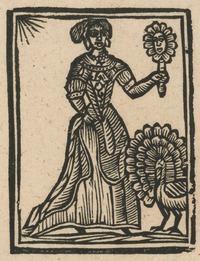 35133-20.jpg